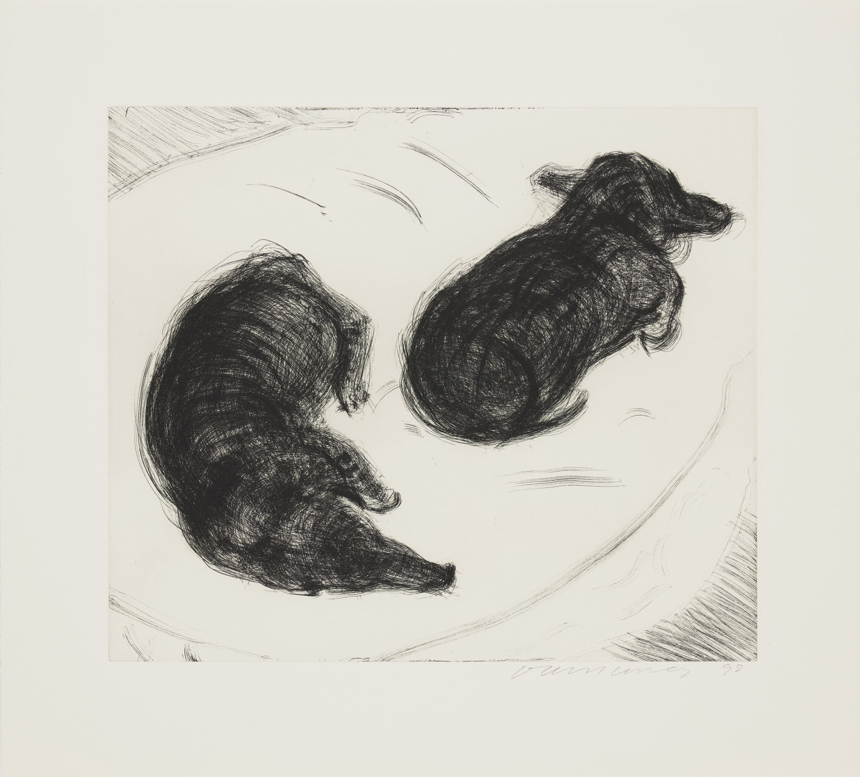 David Hockney, Dog Wall, 1998