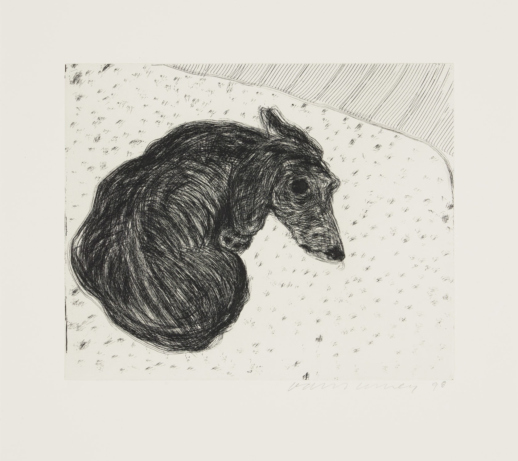 David Hockney, Dog Wall, 1998