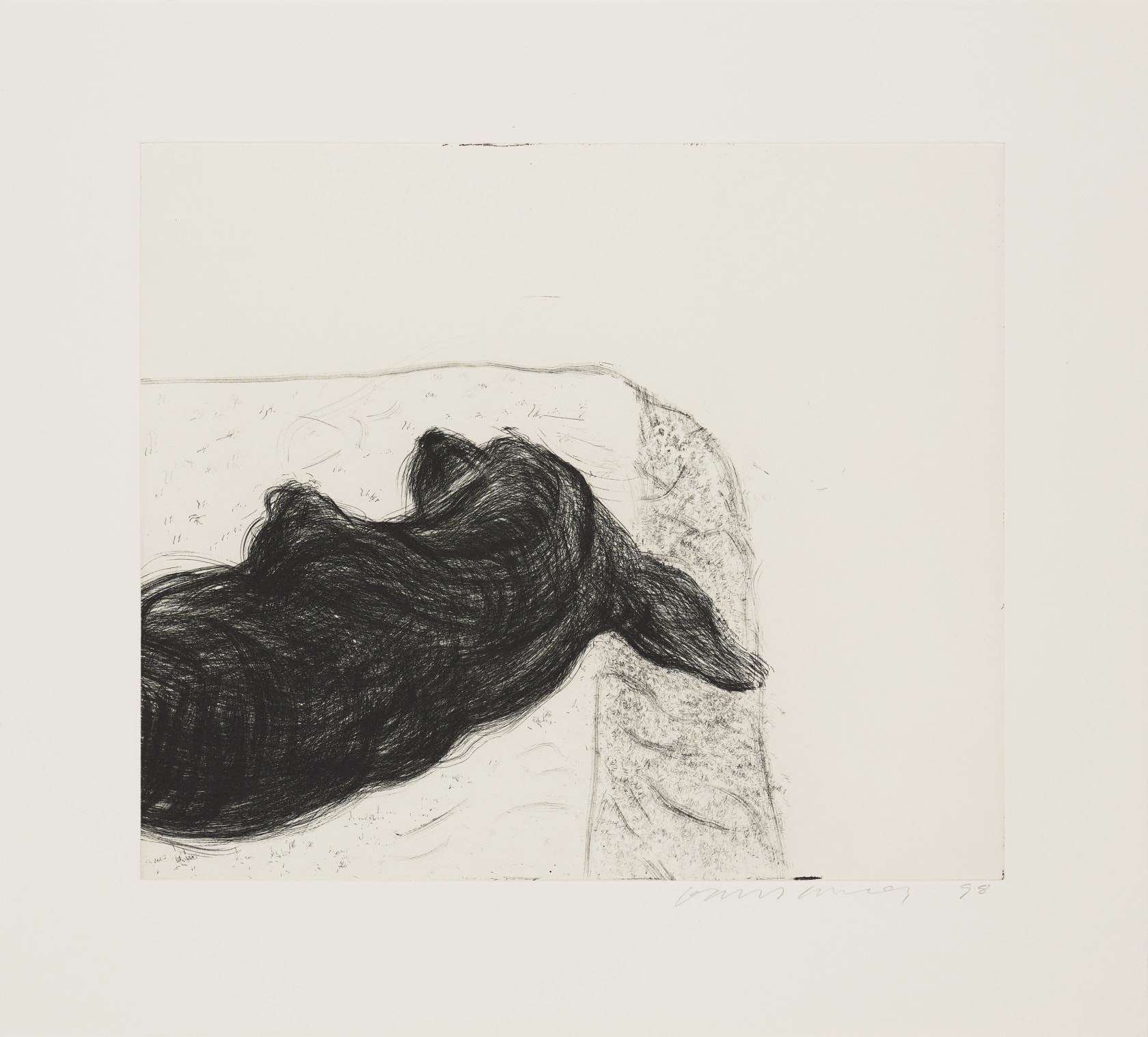 David Hockney, Dog Wall, 1998