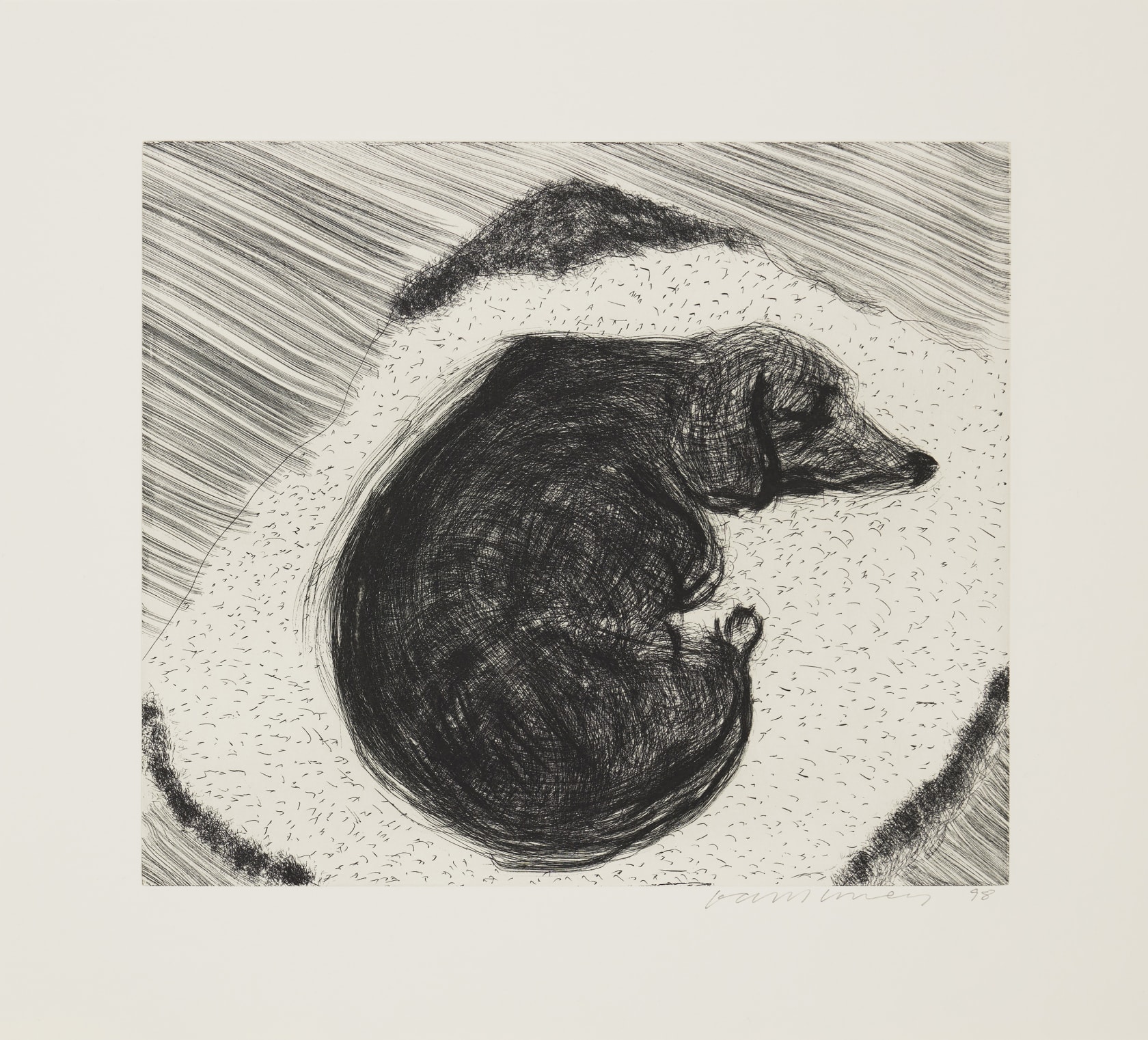 David Hockney, Dog Wall, 1998