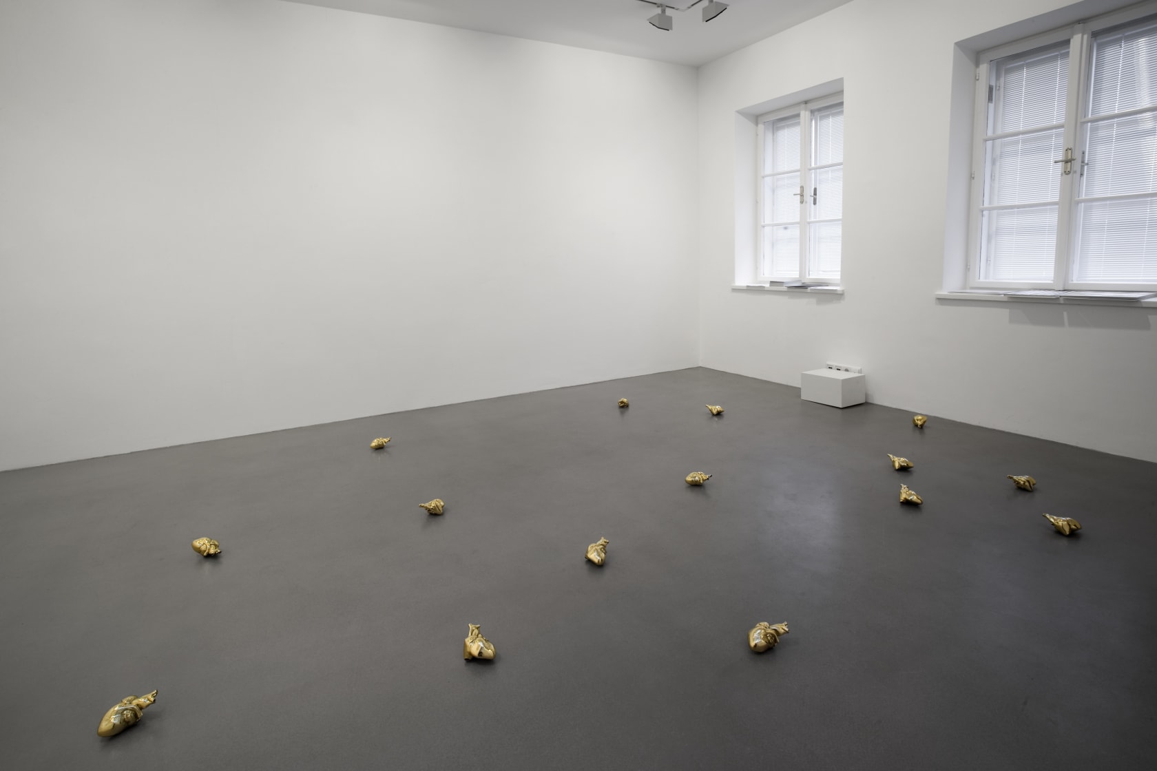© Helge Kirchgberger