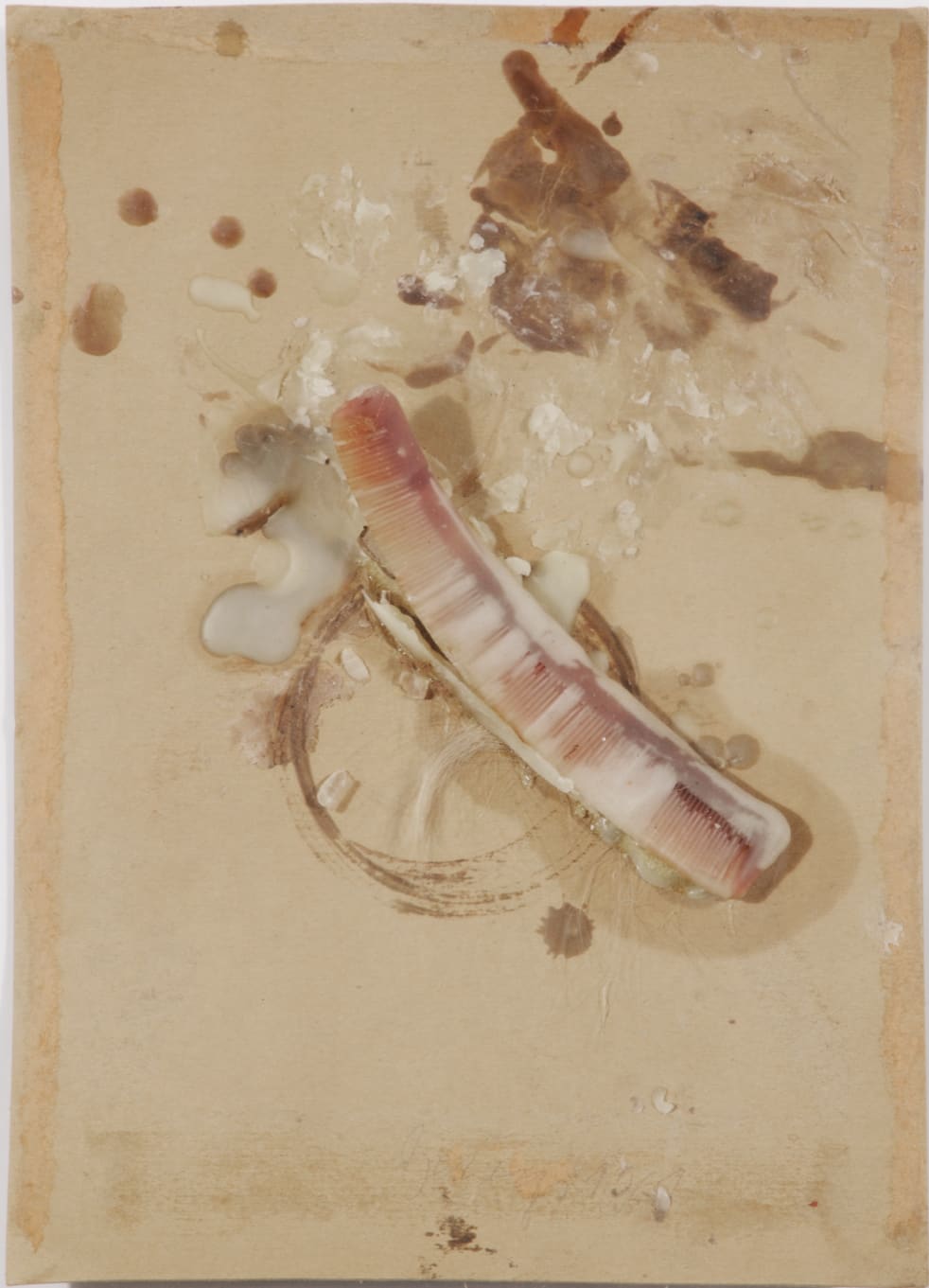 Joseph Beuys Untitled, 1961