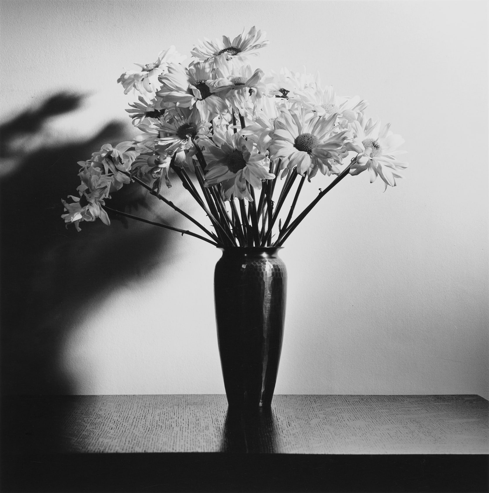 Daisies, 1978 20 x 16 in Silver Gelatin print