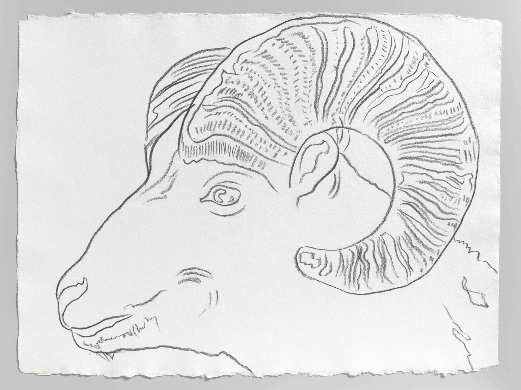 Andy Warhol: Animals, Galerie Thaddaeus Ropac Salzburg, 2014