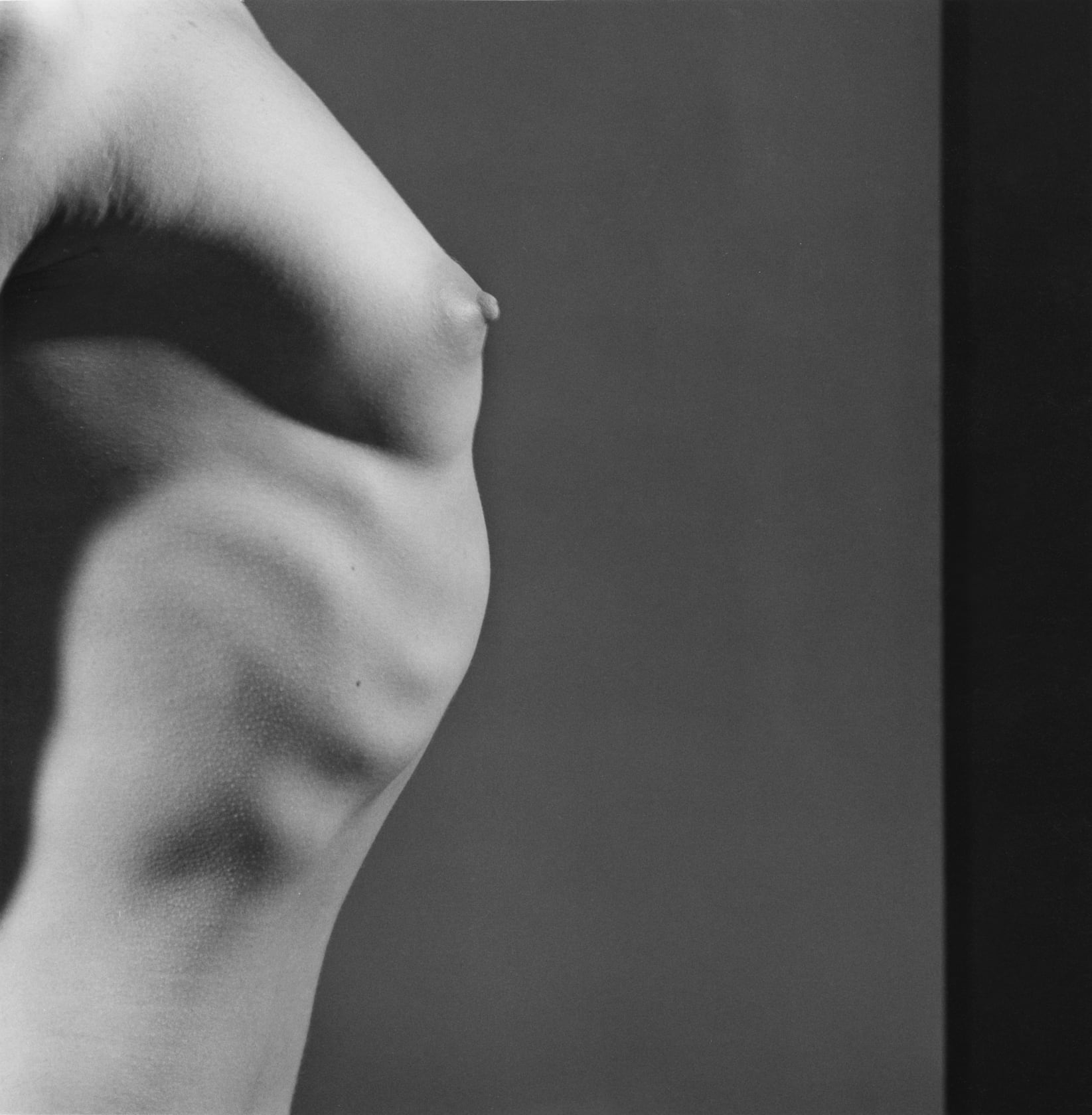 Robert Mapplethorpe Tit Profile, 1980