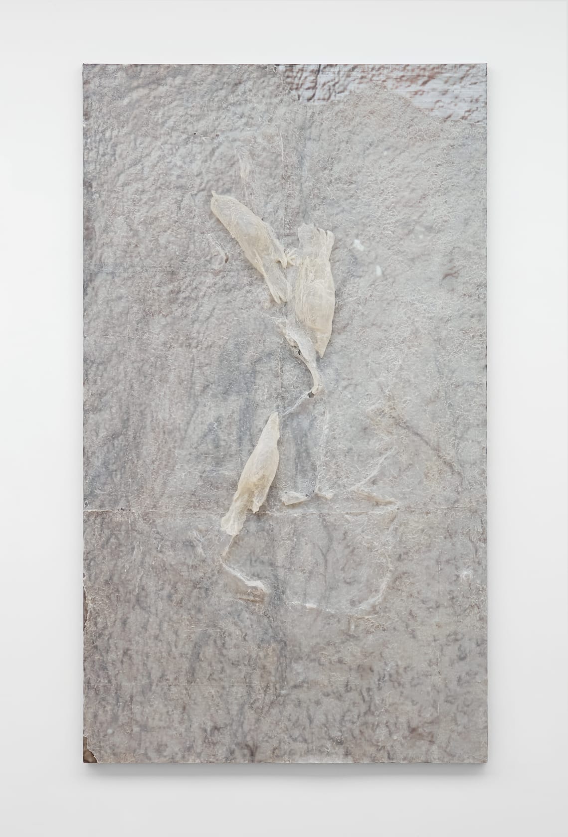 Heemin Chung, I Will Give My Love to Pigeons, 2024