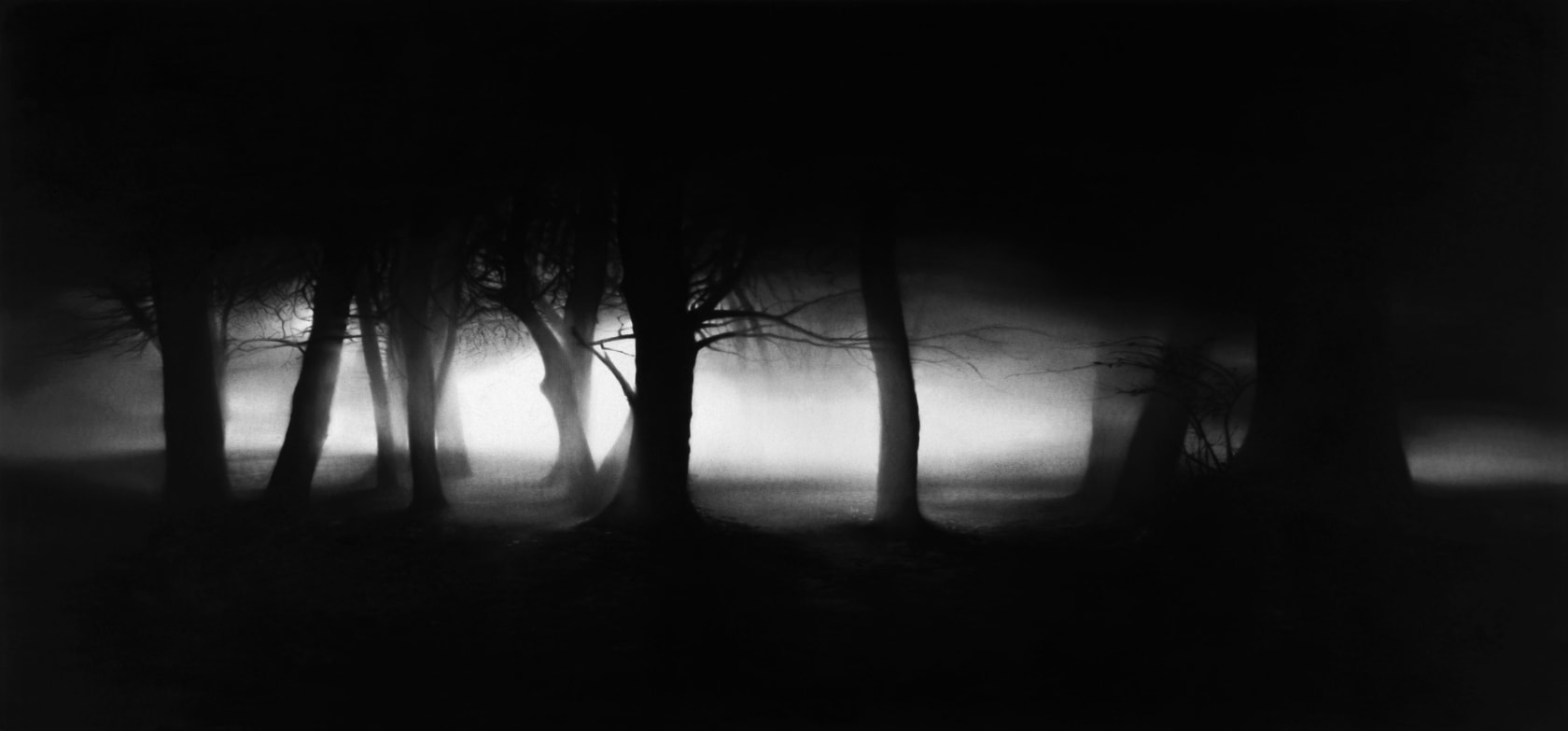 Robert Longo, Untitled (Misty Forest), 2011