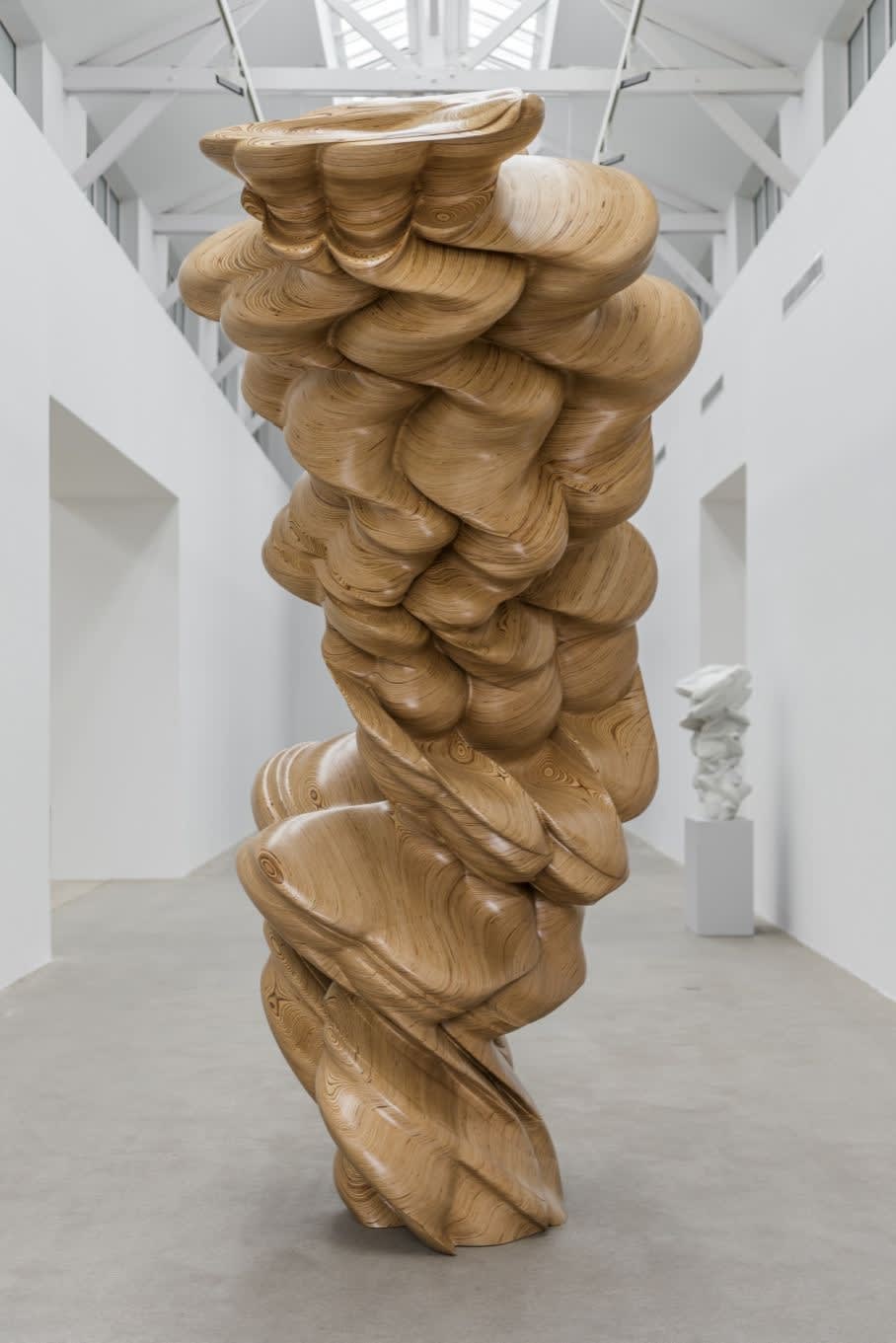 Tony Cragg Contradiction, 2014