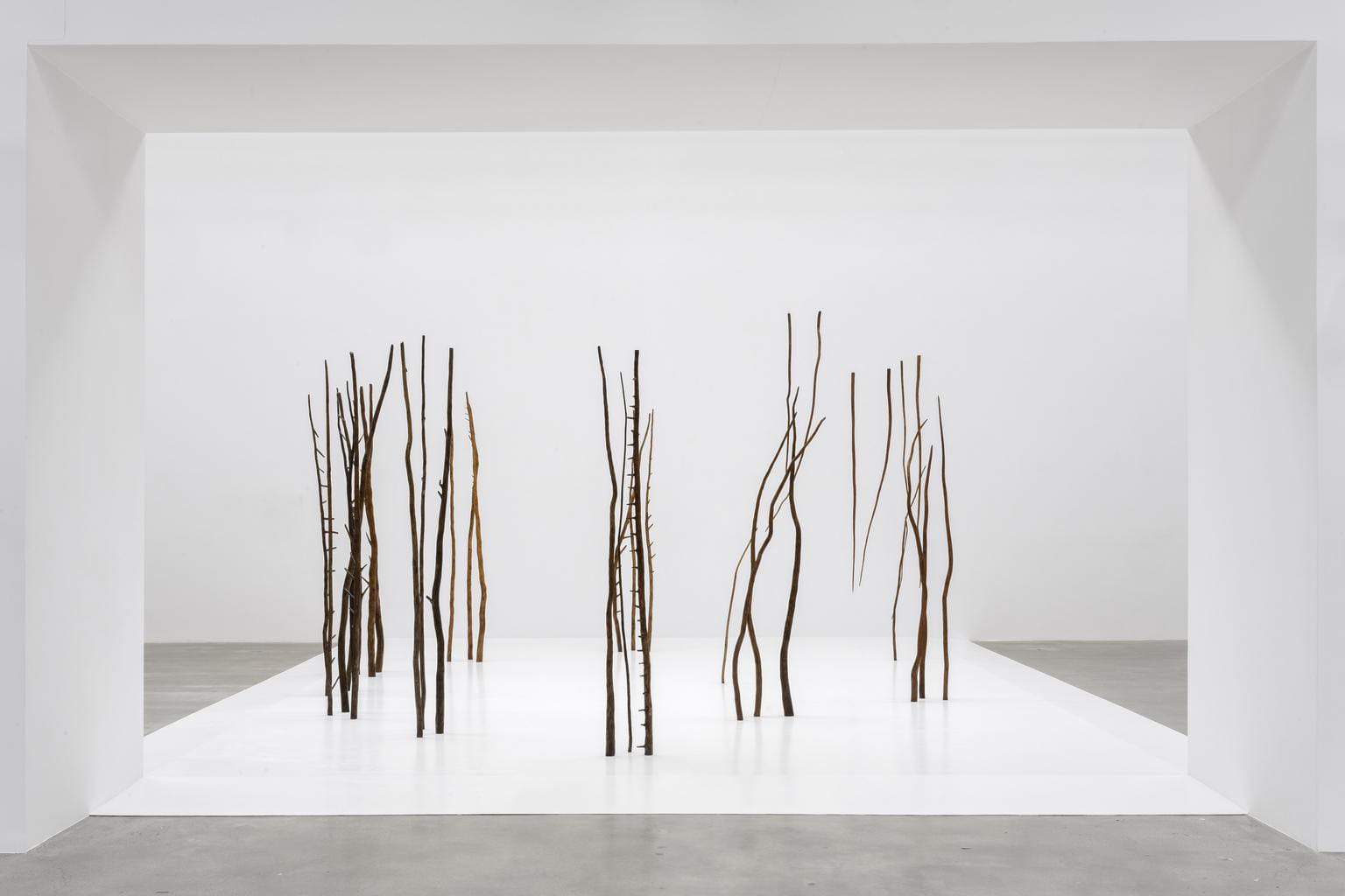 Rosemarie Castoro, Forest of Threes (1977-78); Thaddaeus Ropac