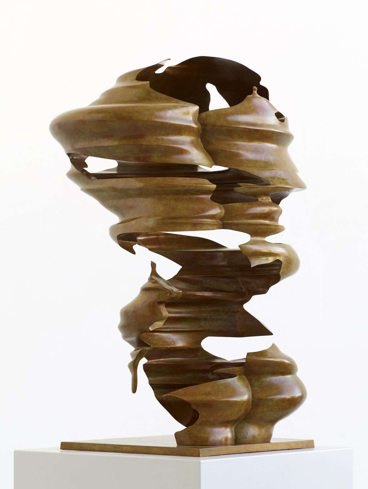 Tony Cragg, Hollow Head (2019); Thaddaeus Ropac