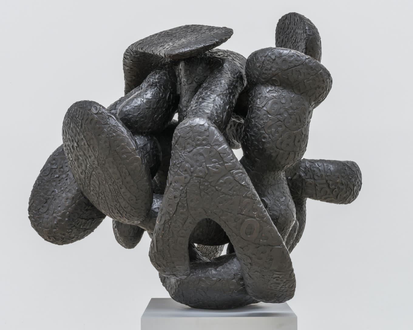 Tony Cragg Manipulations, 2015