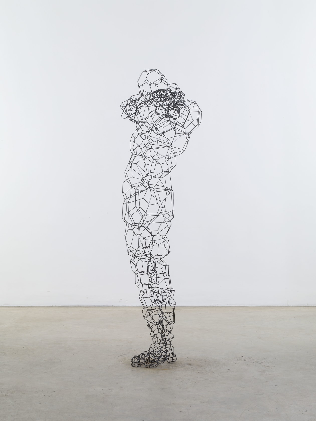 Antony Gormley Cumulate II, 2011