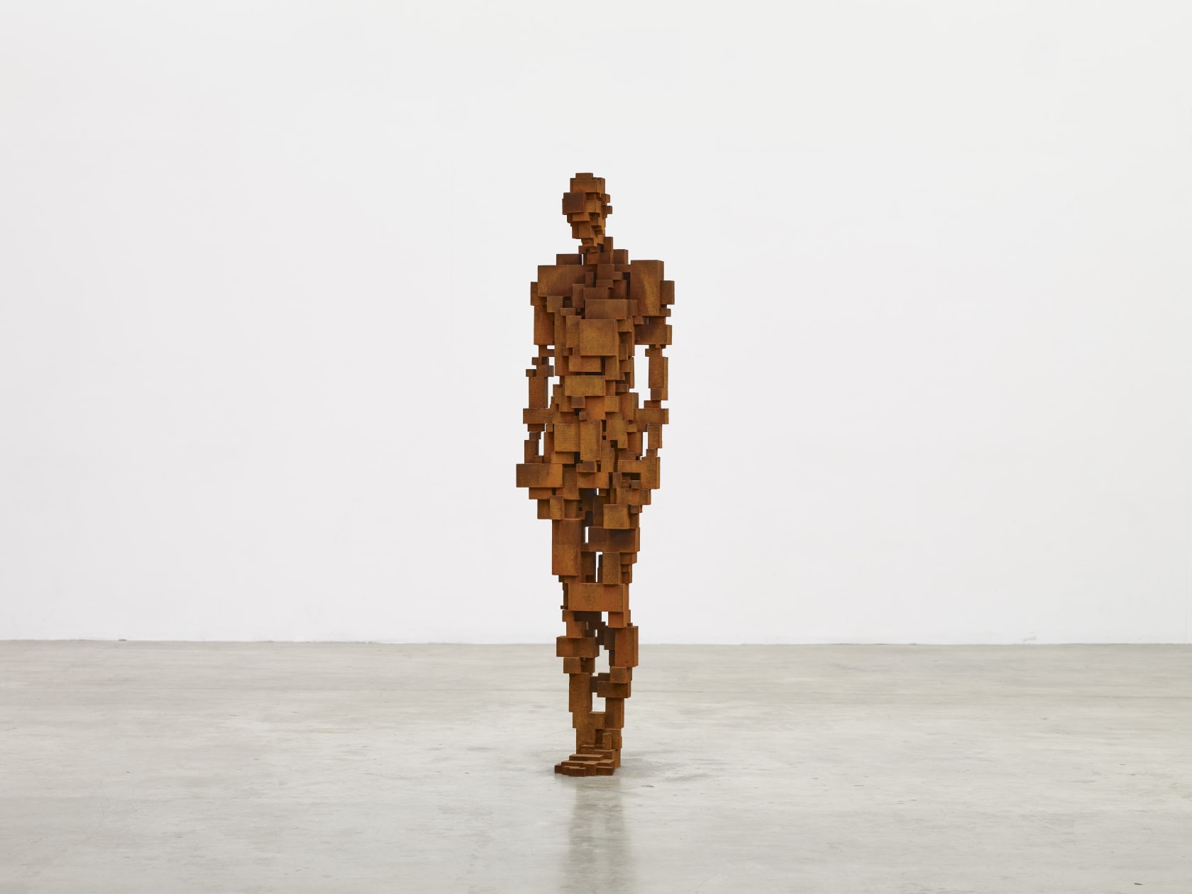 Antony Gormley, Antony Gormley Horizon Field (box set of two