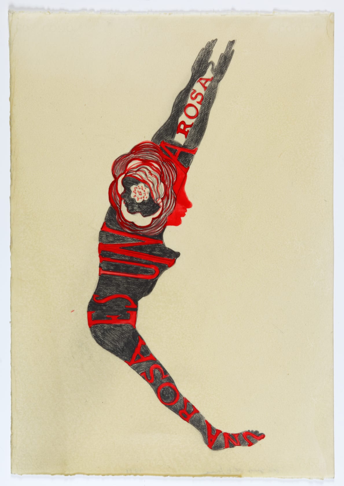 Sandra Vásquez de la Horra Una Rosa Es Una Rosa, 2011