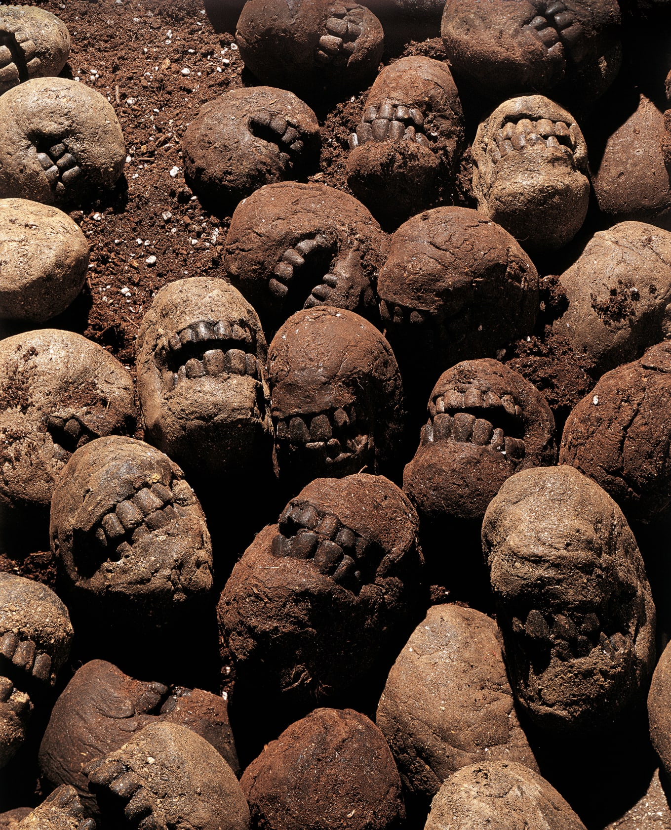 Rona Pondick, Dirt Head, 1997