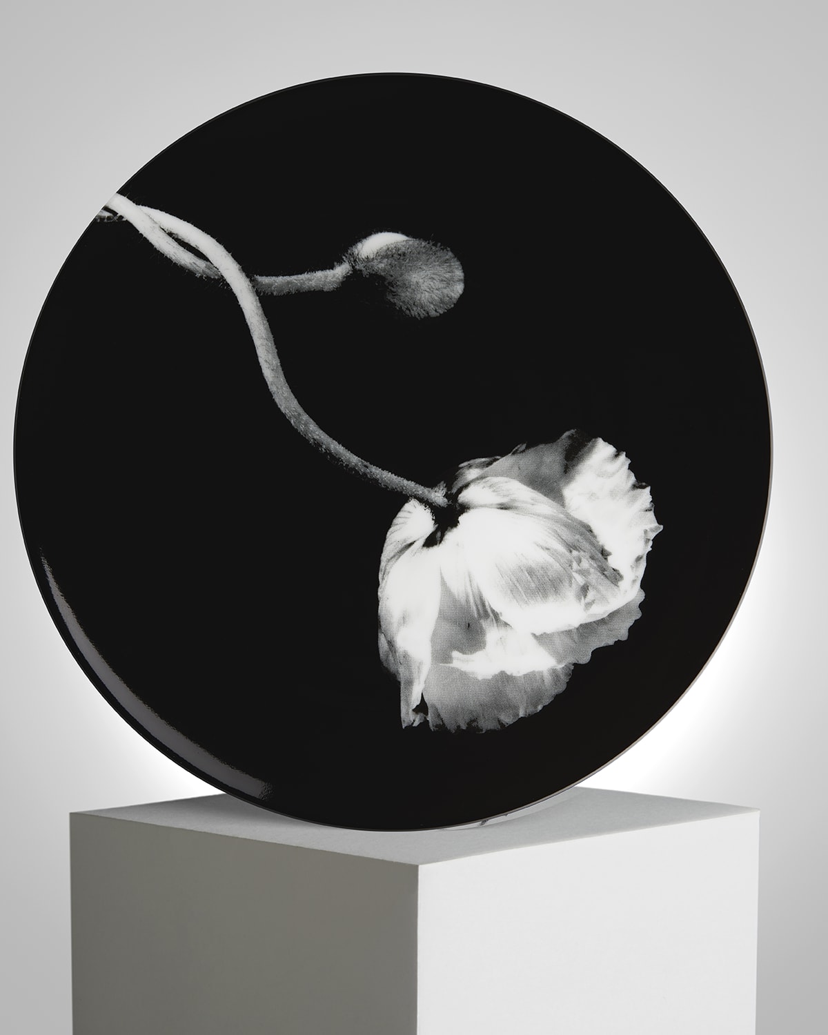 Robert Mapplethorpe 'Poppy' Porcelaine Plate