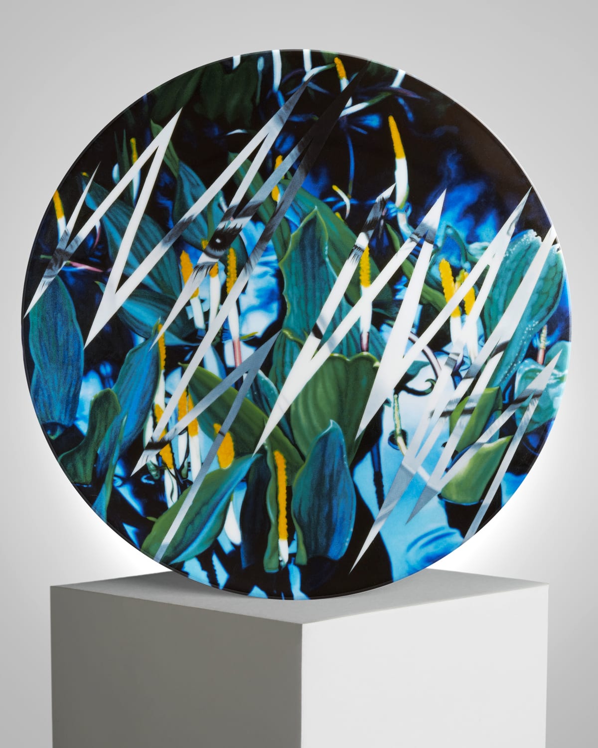 James Rosenquist 'Welcome to the Water' Porcelain Plate