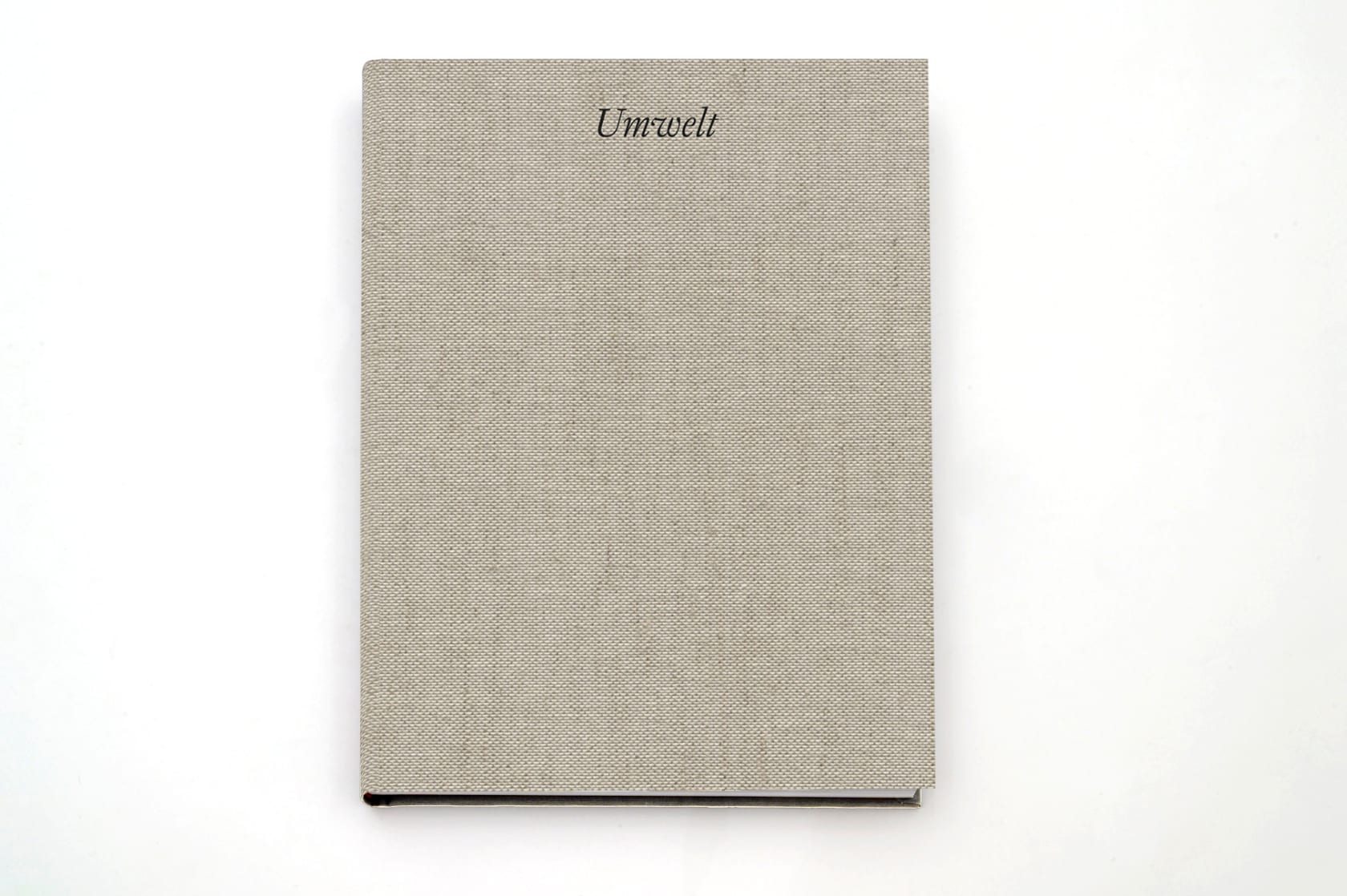 Antony Gormley Umwelt