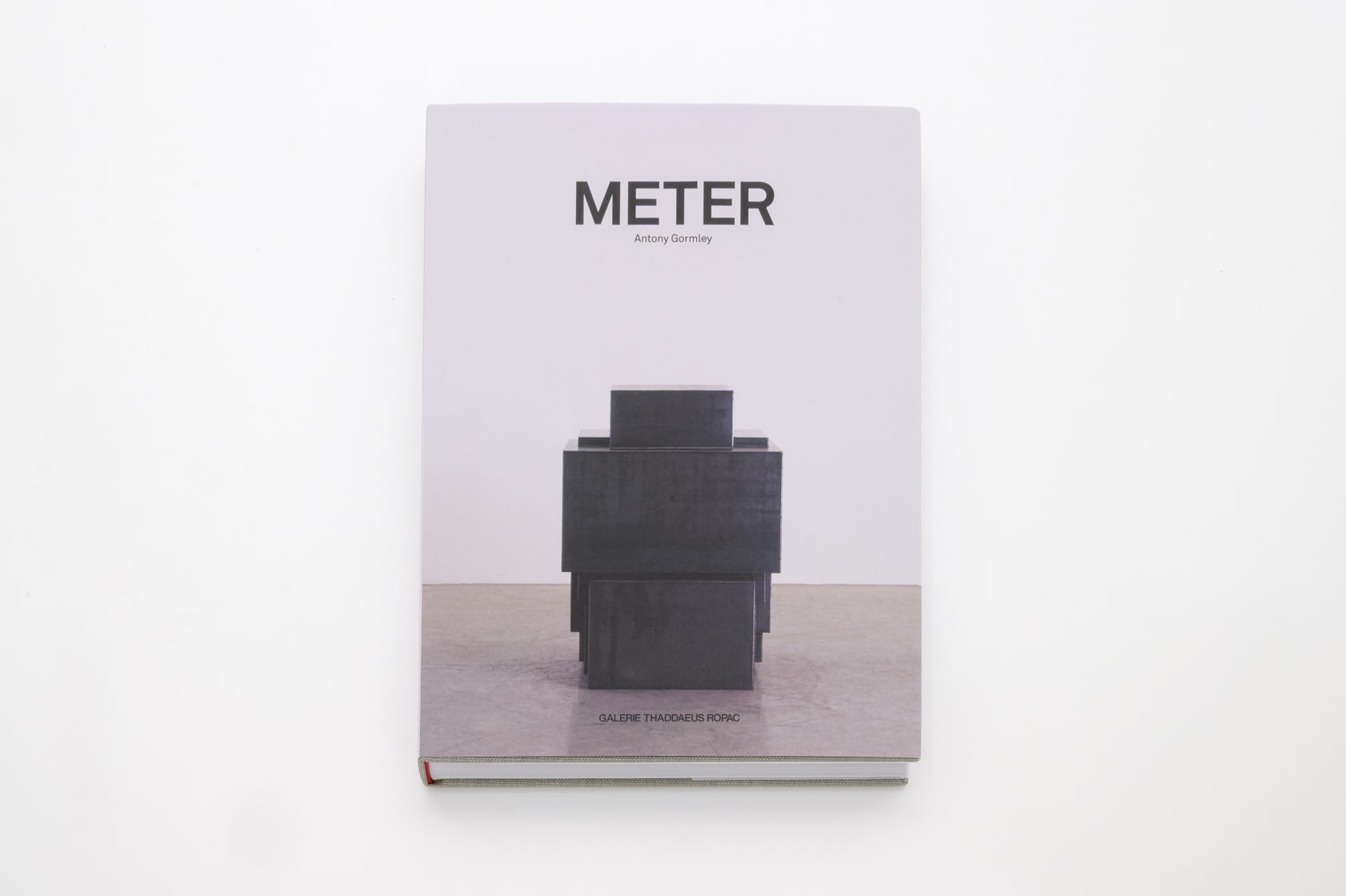 Antony Gormley METER