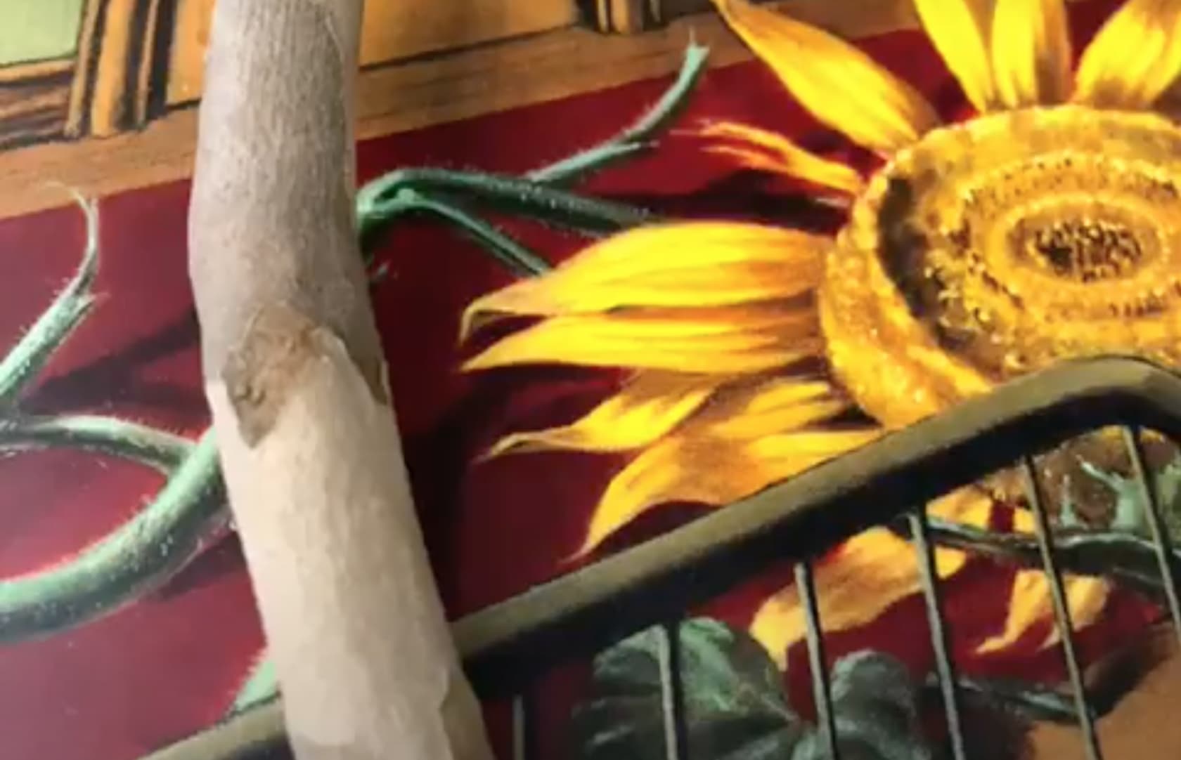 From the Studio Ali Banisadr