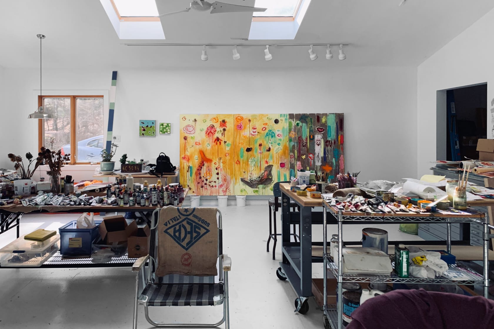 Joan Snyder in Conversation, Zimmerli Art Museum