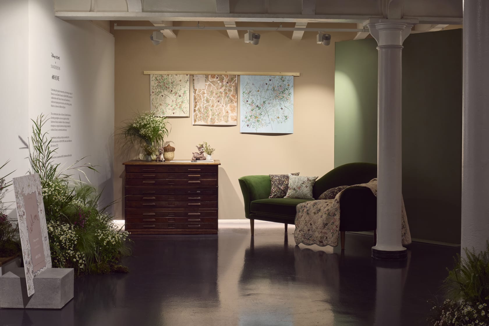 250110 Camron H M Disney Sanderson 001