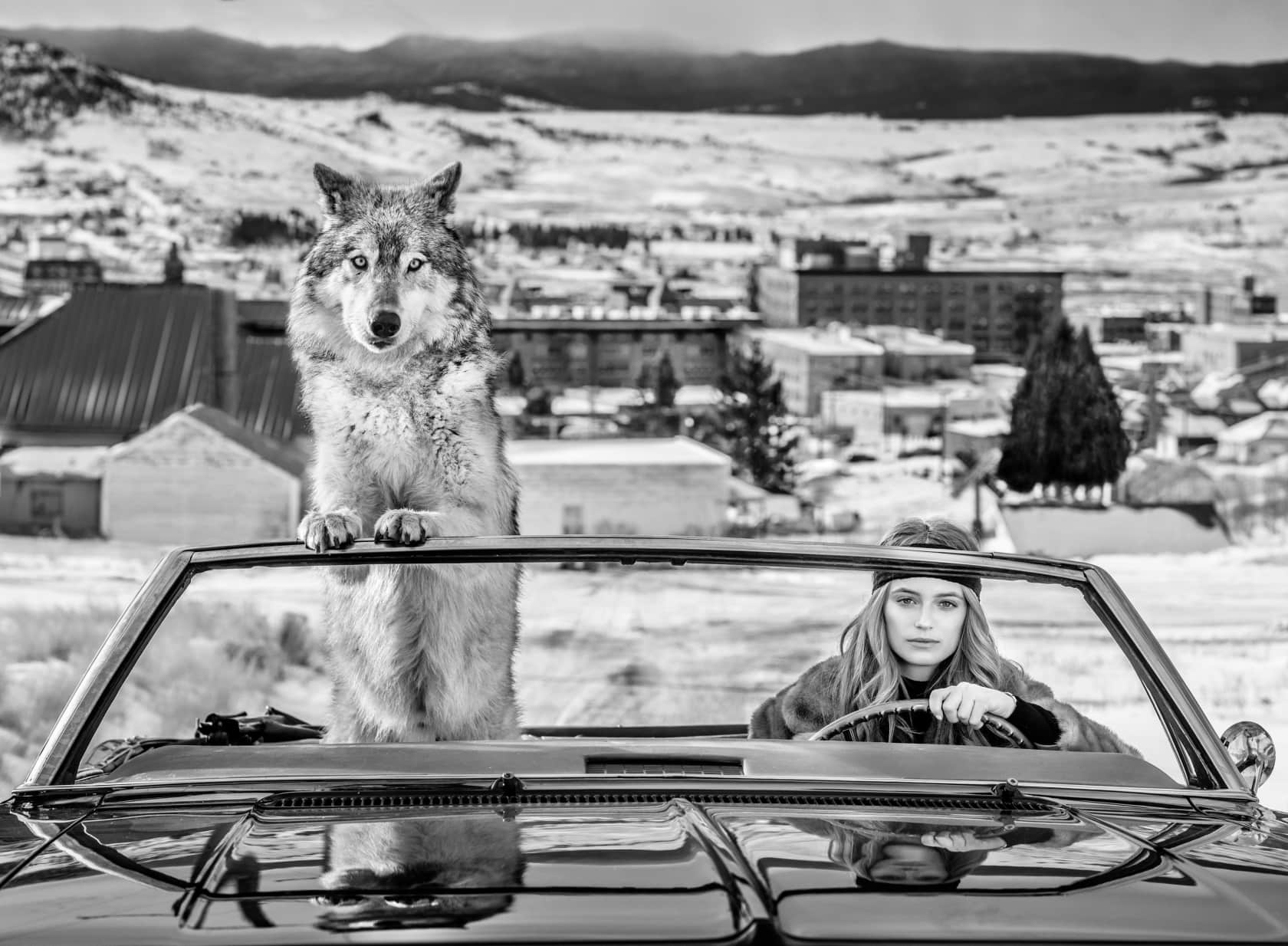 David Yarrow, Bonnie and Clyde, 2020
