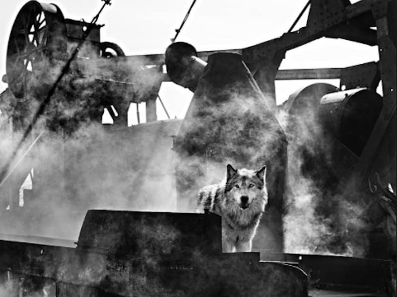 David Yarrow, The Engineer, 2015