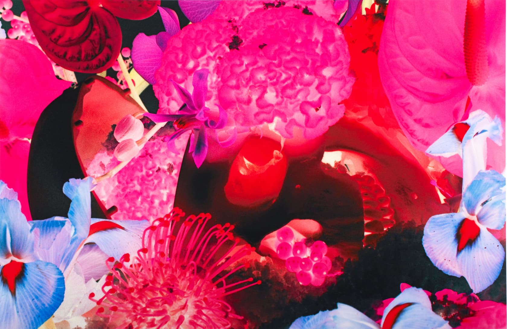 Marc Quinn At the Far Edges of the Universe #8 Pigment Print