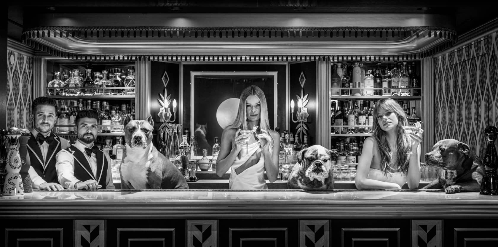 David Yarrow, The Dogs of Palm Beach, 2025