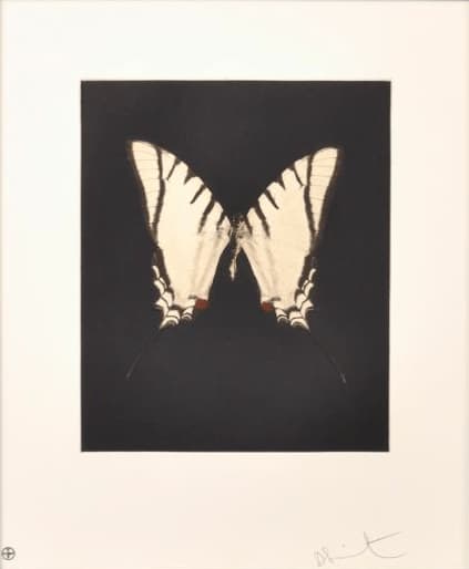 Damien Hirst, Spirit, 2009