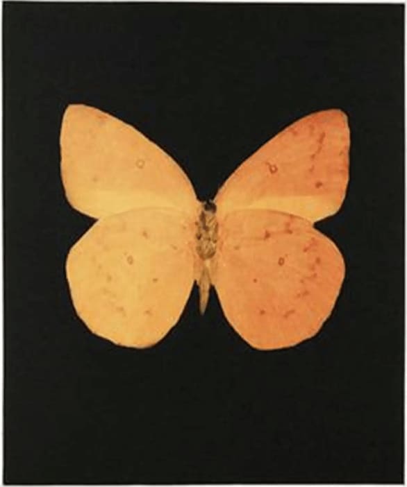 Damien Hirst, Prosperity, 2009