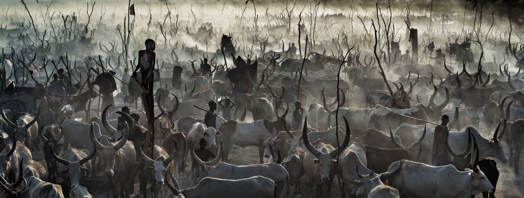 David Yarrow, Mankind 2 (Monochromatic), 2014