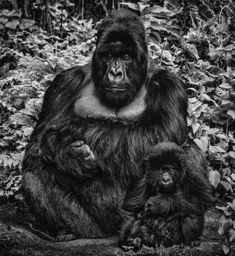 David Yarrow, Like Father Like Son, 2020