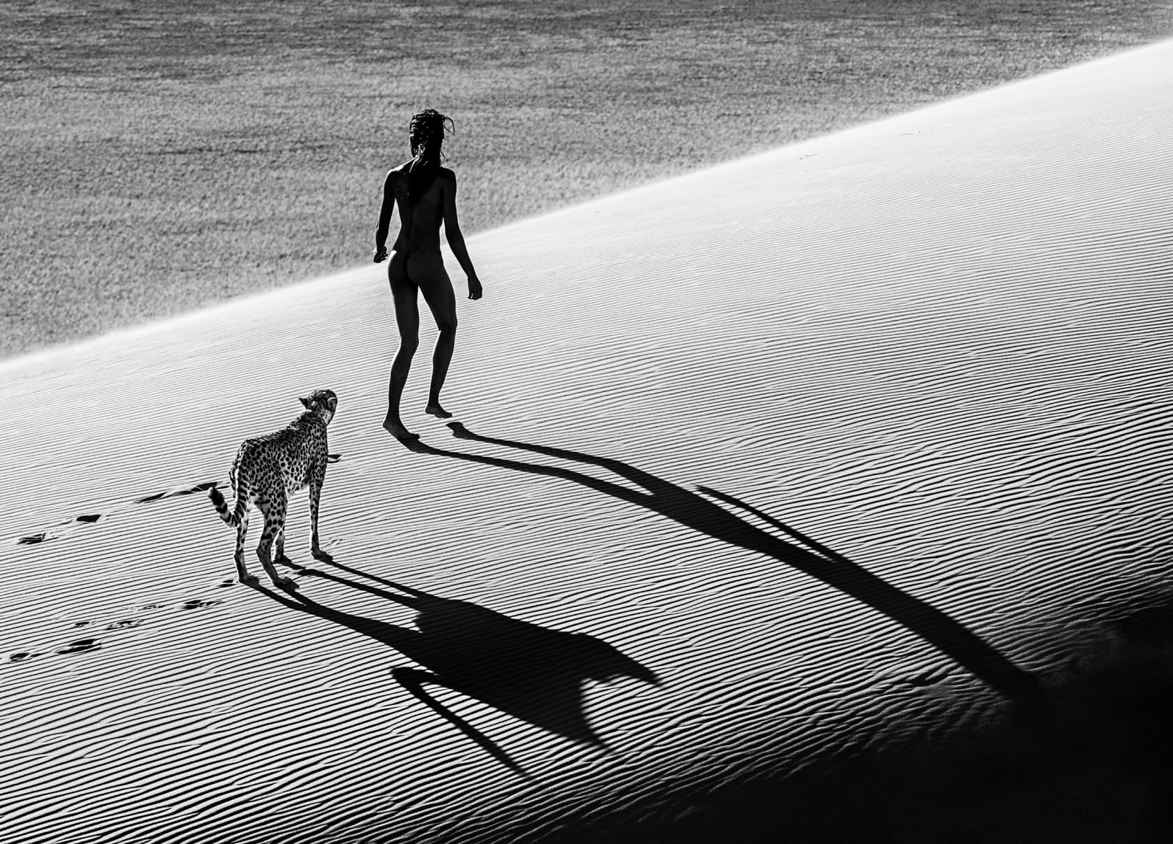 David Yarrow, On The Catwalk, 2013