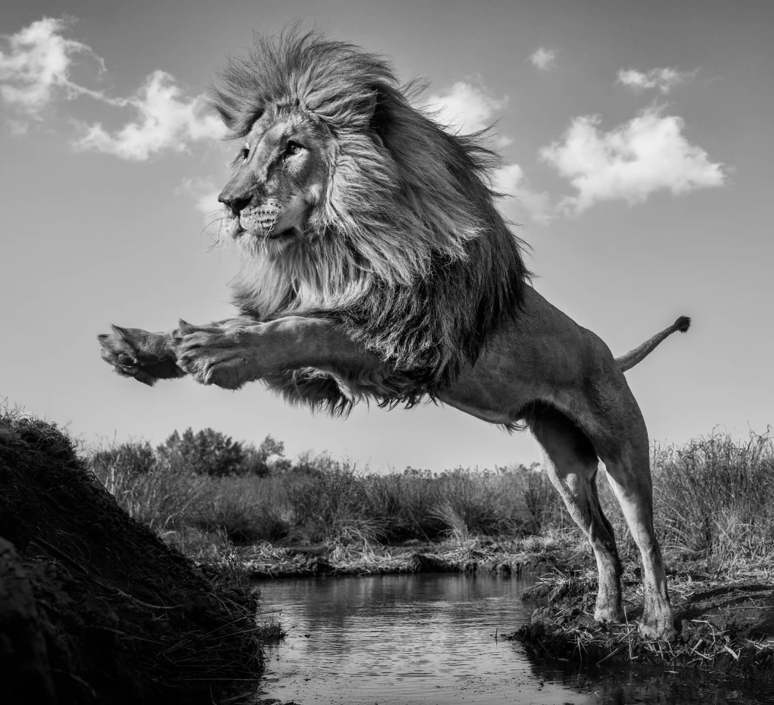 David Yarrow, O Captain! My Captain!, 2024