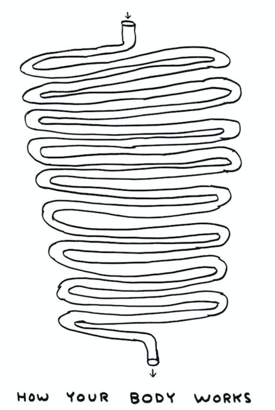 David Shrigley, Untitled, 2018