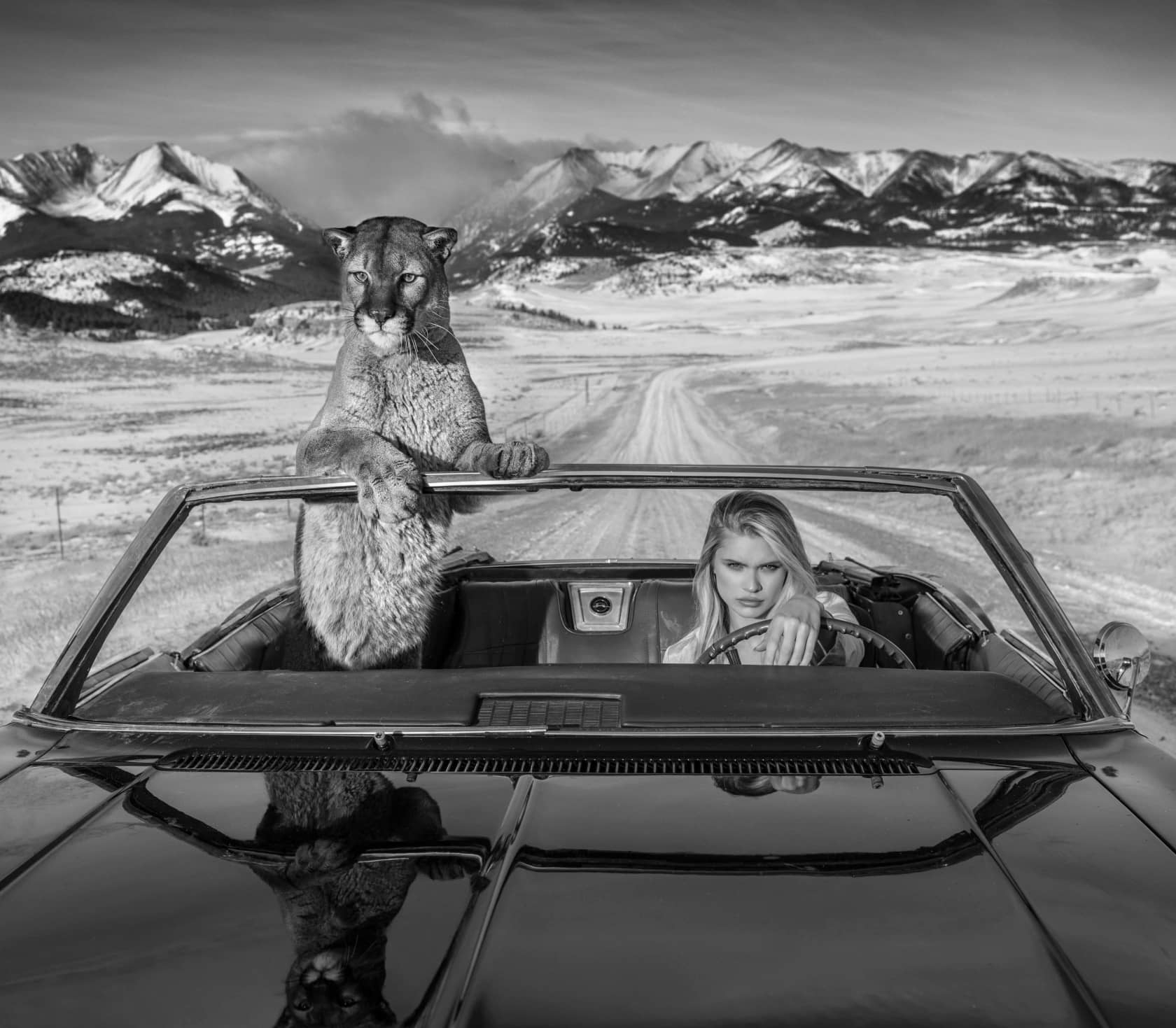 David Yarrow No Country for Old Men Archival Pigment Print