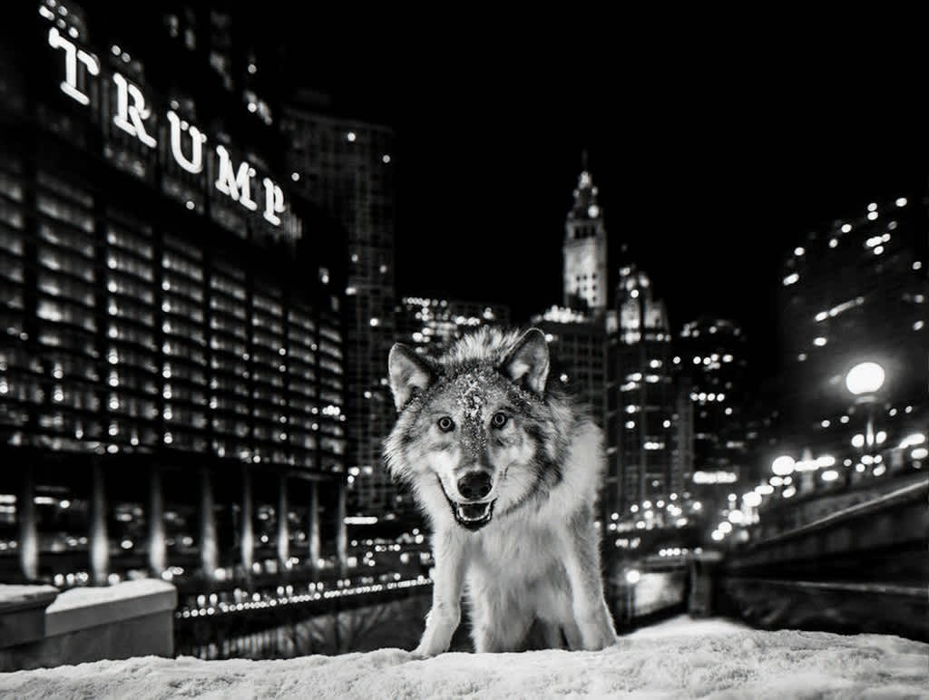 David Yarrow, It's Only a Matter of Time, 2016