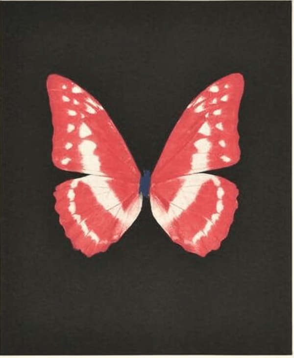 Damien Hirst, Eternal Rest, 2009