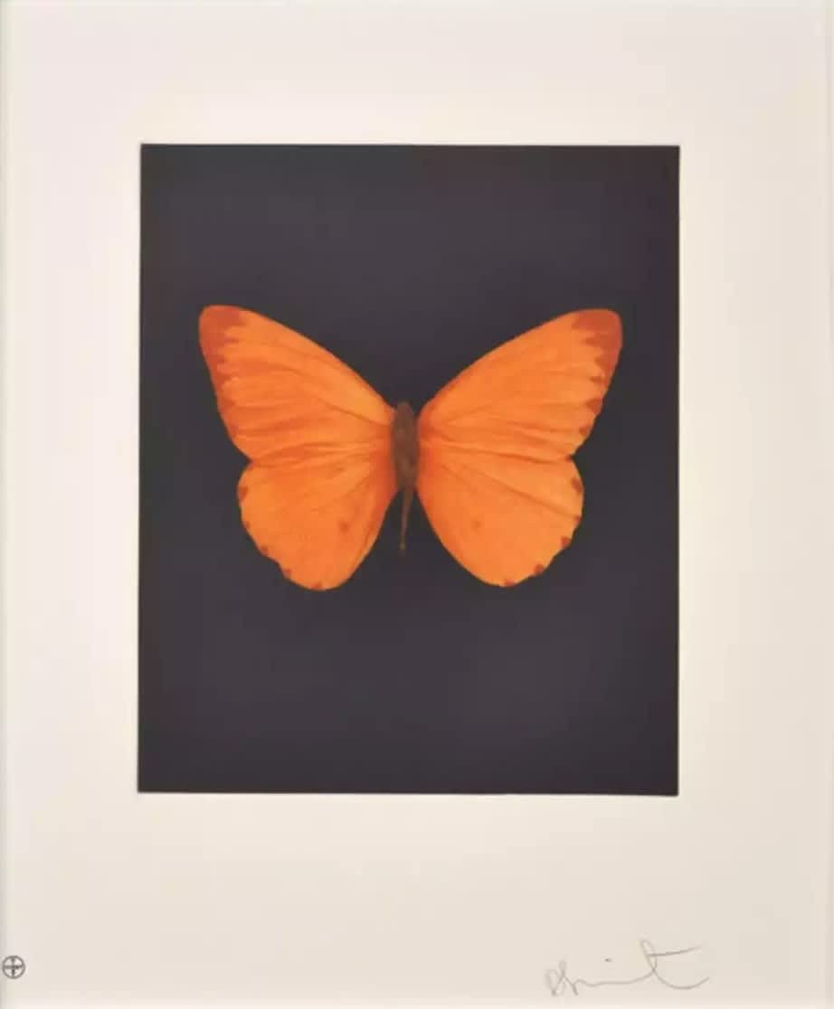 Damien Hirst, Butterfly (Hope) , 2009