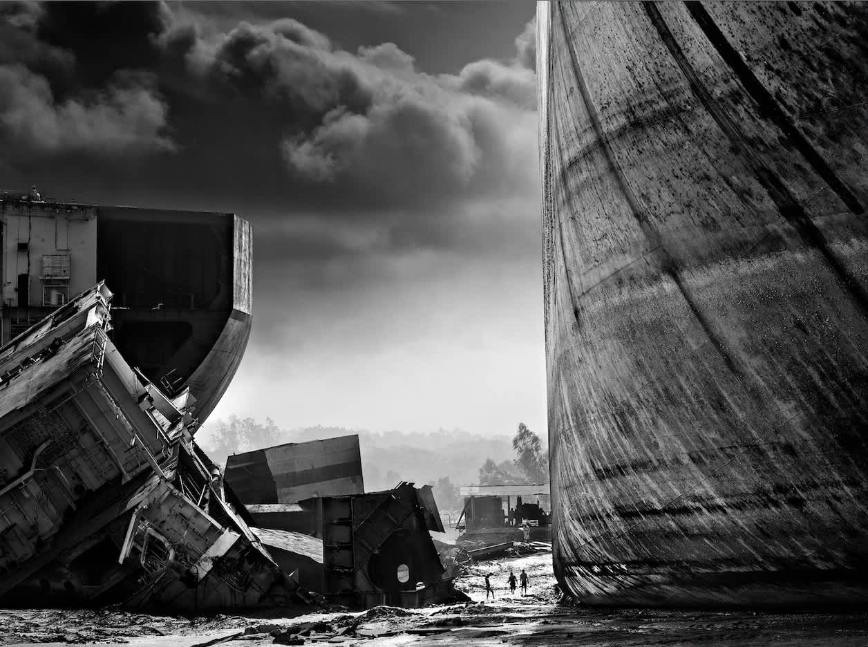 David Yarrow, Antz, 2015