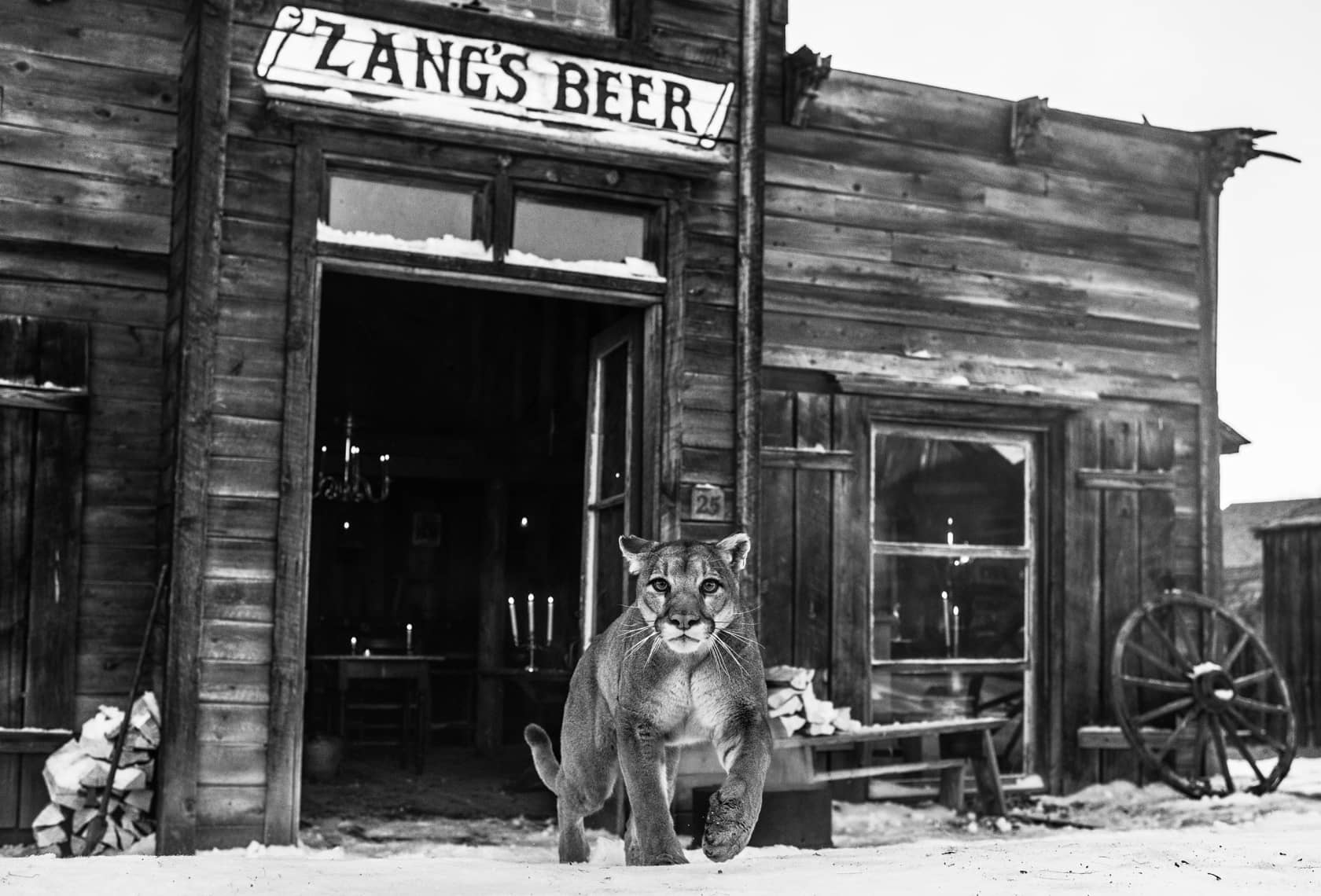 David Yarrow, The Landlord, 2015