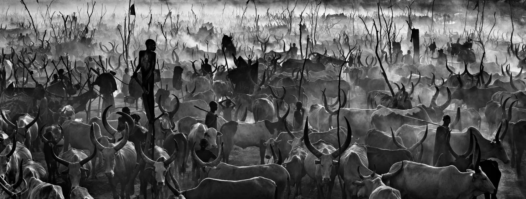 David Yarrow Mankind II (B&W) Archival Pigment Print