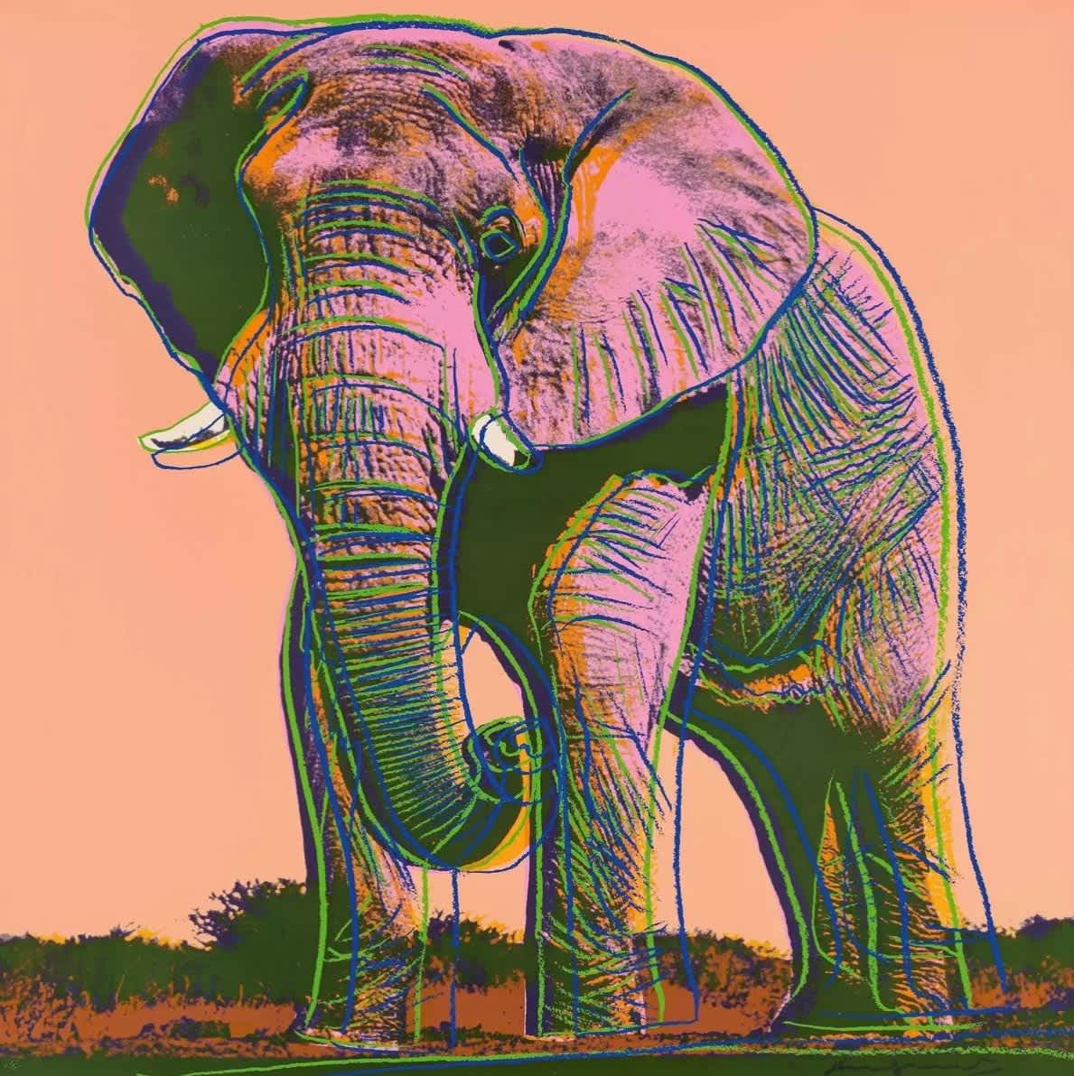 Andy Warhol, African Elephant (F&S.II.293), 1983
