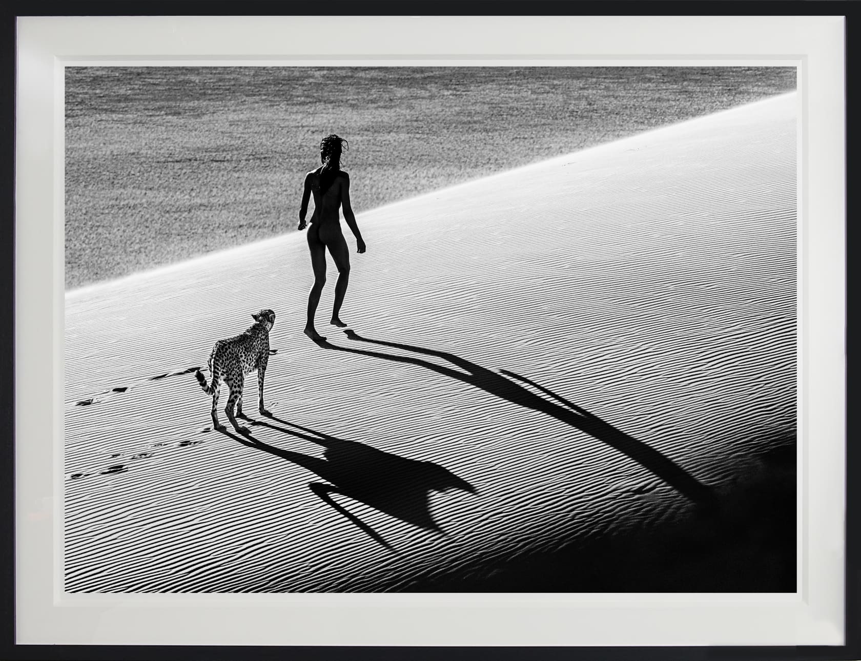David Yarrow, On The Catwalk, 2013