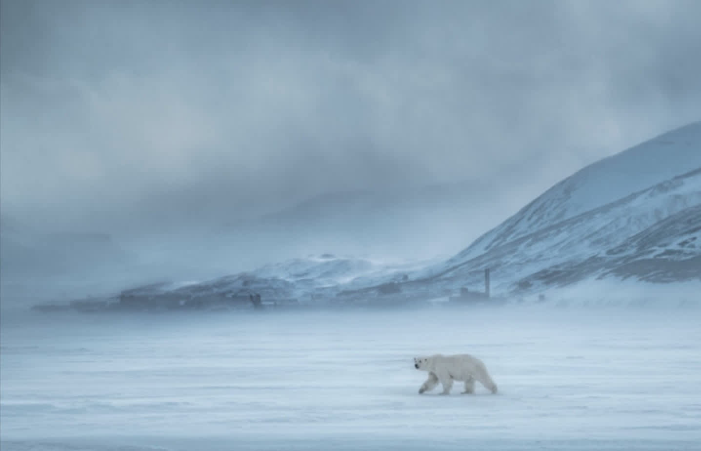 David Yarrow North of the Wall Archival Pigment Print