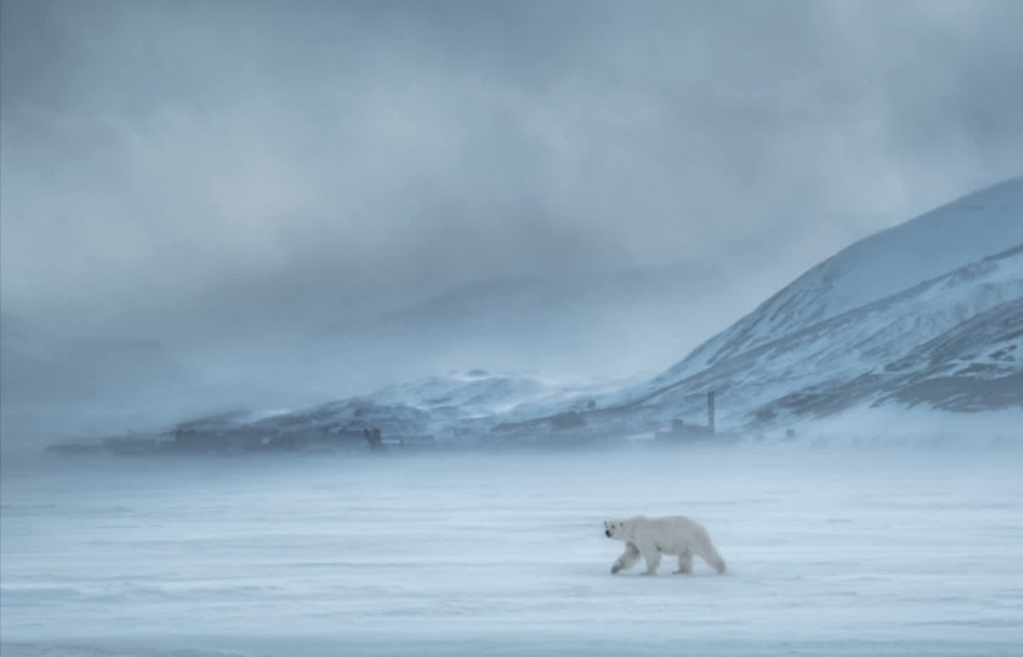 David Yarrow, North of the Wall, 2019