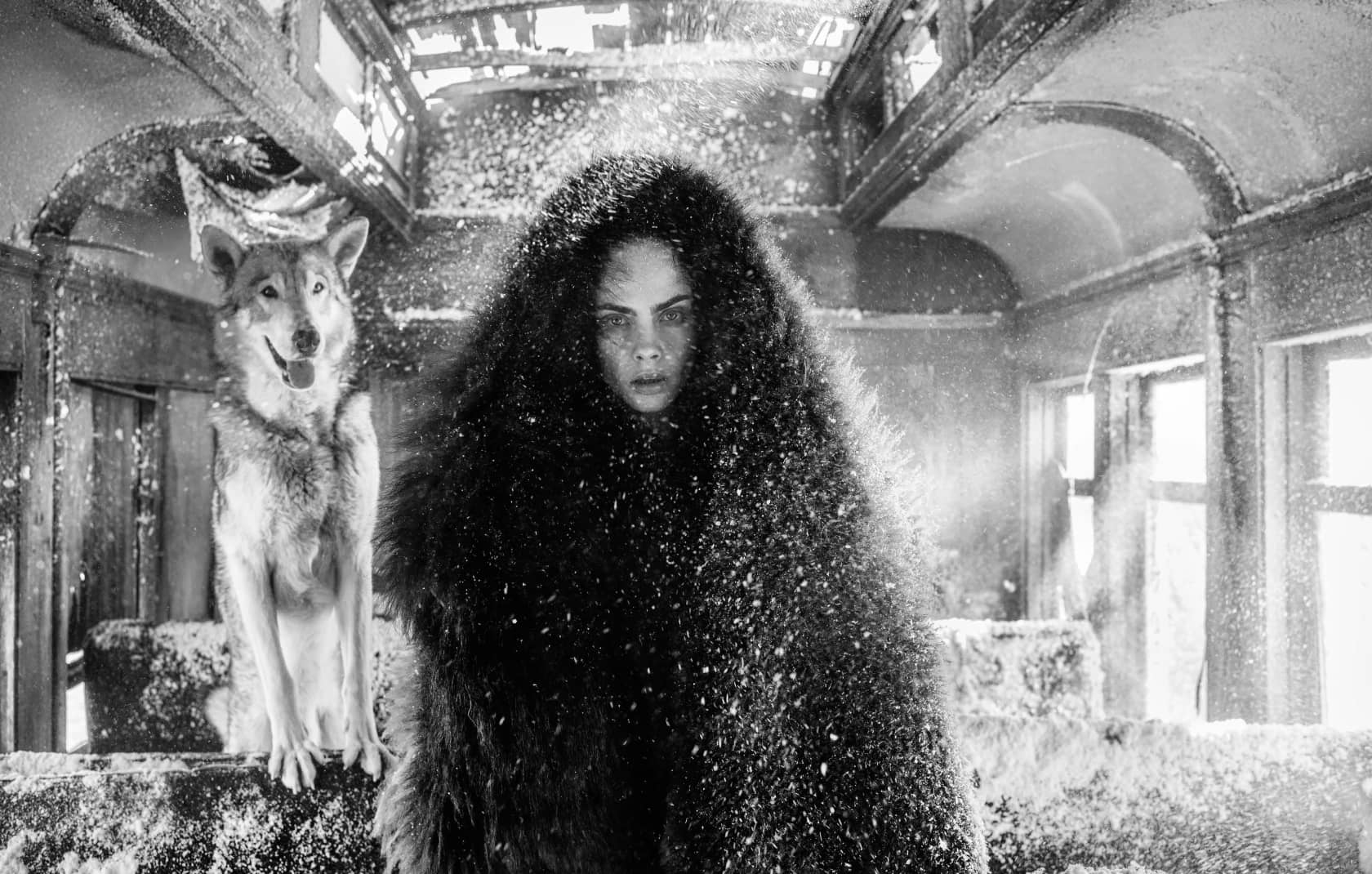 David Yarrow, The Girl Who Cried Wolf, 2020