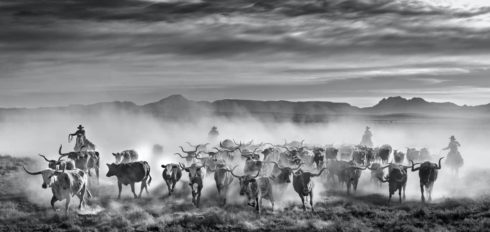 David Yarrow, The Thundering Herd, 2021